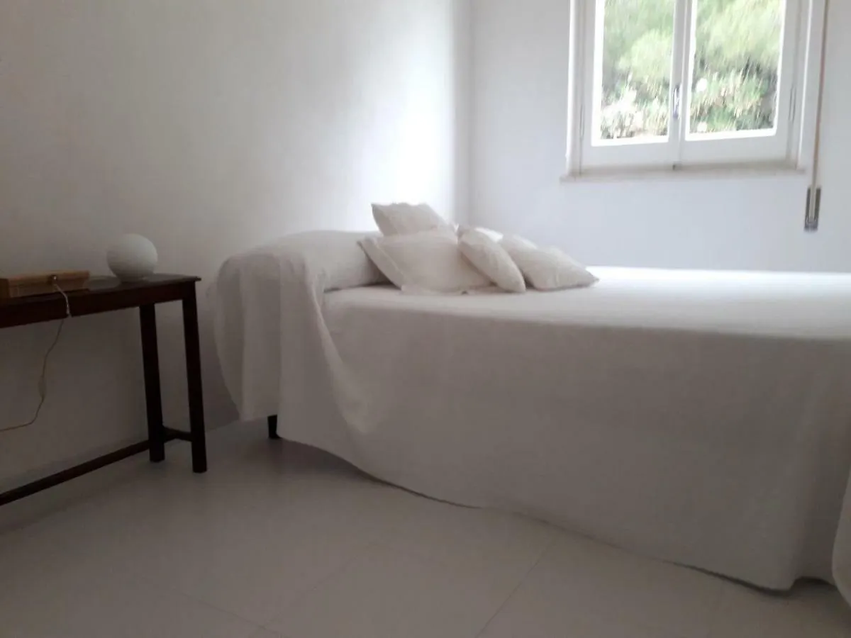 La Casa Di Roy Apartment Pizzolungo Italy