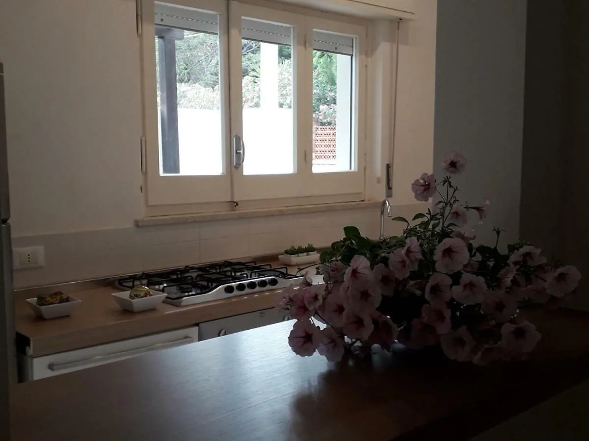 La Casa Di Roy Apartment Pizzolungo